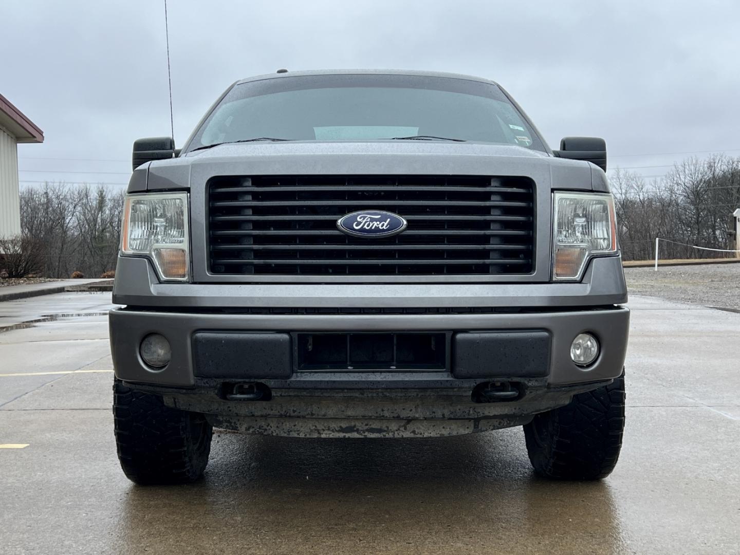 2014 SILVER /Black Cloth FORD F150 STX (1FTFX1EF9EK) with an 5.0L V8 engine, Automatic transmission, located at 2990 Old Orchard Rd., Jackson, MO, 63755, 37.354214, -89.612106 - 2014 Ford F150 STX 163xxx miles 4x4 5.0L V8 Automatic Cruise Power Windows/Locks/Mirrors We have financing available and we accept trades! Fill out a credit application on our website or come by today! If you have any questions, give us a call at (573) 204-7777 or visit our website at firsta - Photo#9