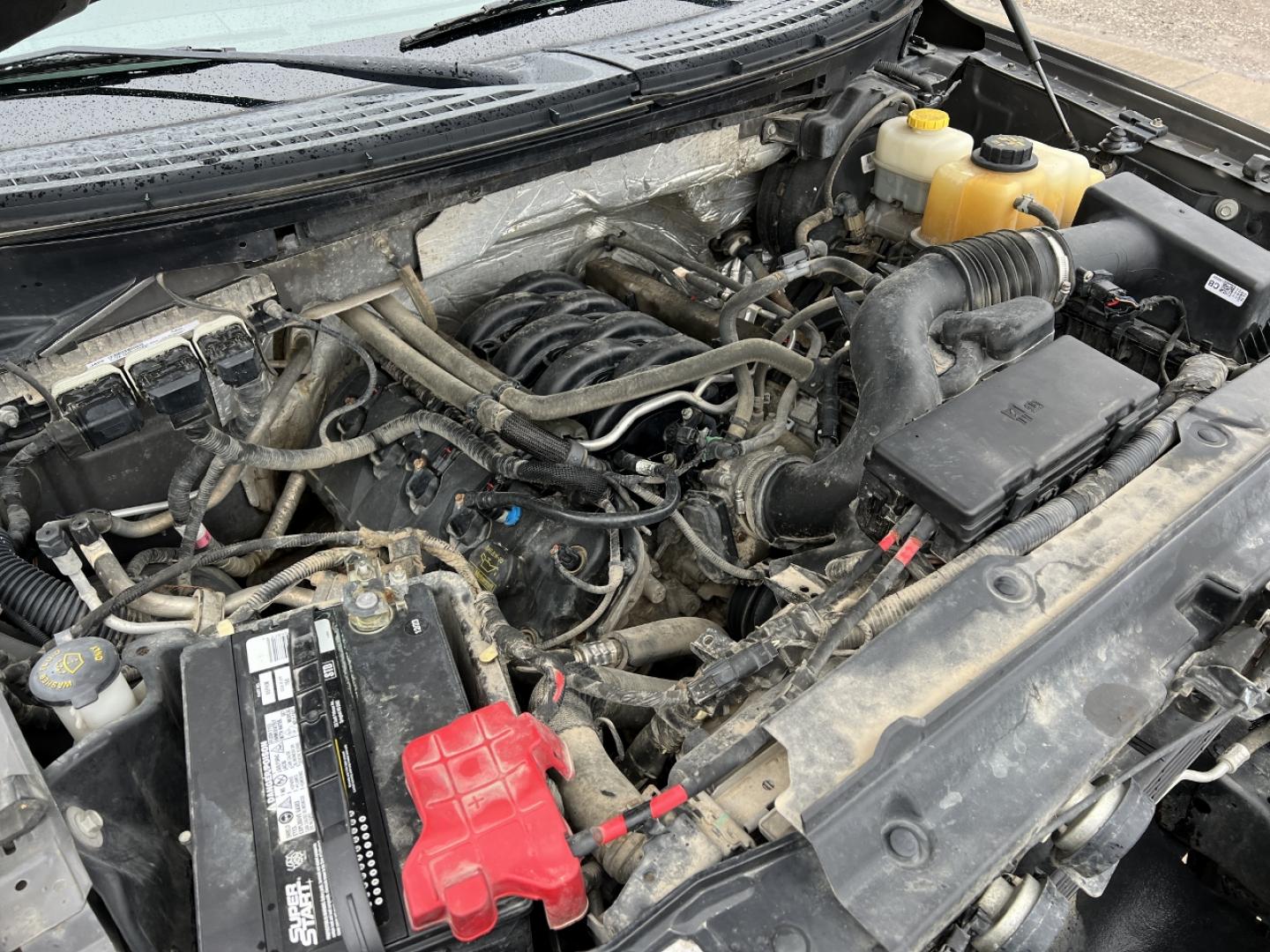 2014 SILVER /Black Cloth FORD F150 STX (1FTFX1EF9EK) with an 5.0L V8 engine, Automatic transmission, located at 2990 Old Orchard Rd., Jackson, MO, 63755, 37.354214, -89.612106 - 2014 Ford F150 STX 163xxx miles 4x4 5.0L V8 Automatic Cruise Power Windows/Locks/Mirrors We have financing available and we accept trades! Fill out a credit application on our website or come by today! If you have any questions, give us a call at (573) 204-7777 or visit our website at firsta - Photo#31