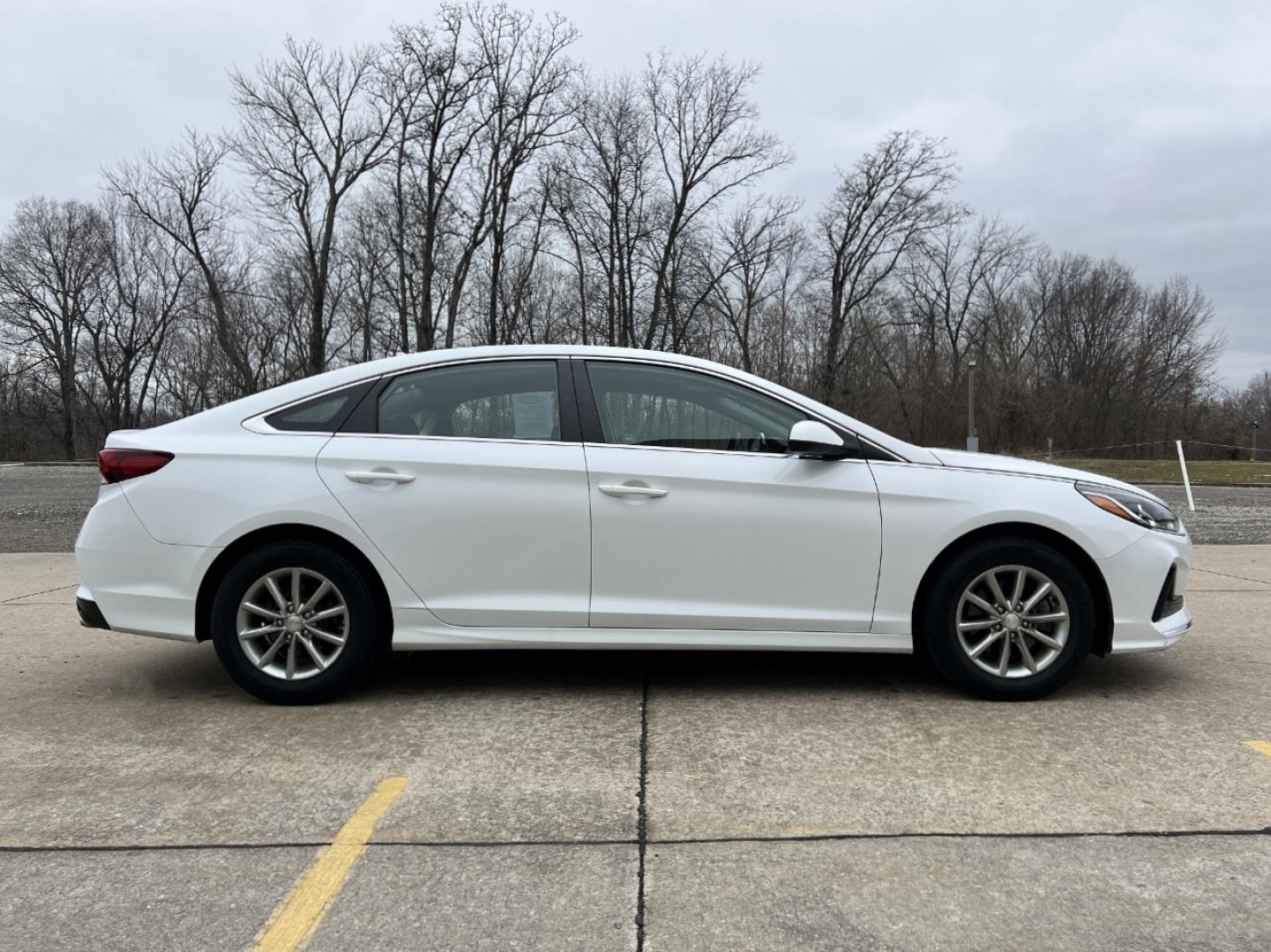 2019 WHITE /Black Cloth HYUNDAI SONATA SE (5NPE24AF3KH) with an 2.4L 4 Cyl. engine, Automatic transmission, located at 2990 Old Orchard Rd., Jackson, MO, 63755, 37.354214, -89.612106 - 2019 Hyundai Sonata SE 77xxx miles Front Wheel Drive 2.4L 4 Cyl. Automatic Backup Camera Bluetooth Cruise Power Windows/Locks/Mirrors We have financing available and we accept trades! Fill out a credit application on our website or come by today! If you have any questions, give us a call a - Photo#5
