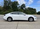 2020 WHITE /Gray HYUNDAI SONATA SE (5NPEG4JA1LH) with an 2.5L 4 Cyl. engine, Automatic transmission, located at 506 S. Kingshighway, Cape Girardeau, MO, 63703, (573) 235-5000, 37.294994, -89.556206 - 2020 Hyundai Sonata SE 95xxx miles Front Wheel Drive 2.5L 4 Cyl. Automatic Backup Camera Bluetooth Cruise Power Windows/Locks/Mirrors We have financing available and we accept trades! Fill out a credit application on our website or come by today! If you have any questions, give us a call a - Photo#5
