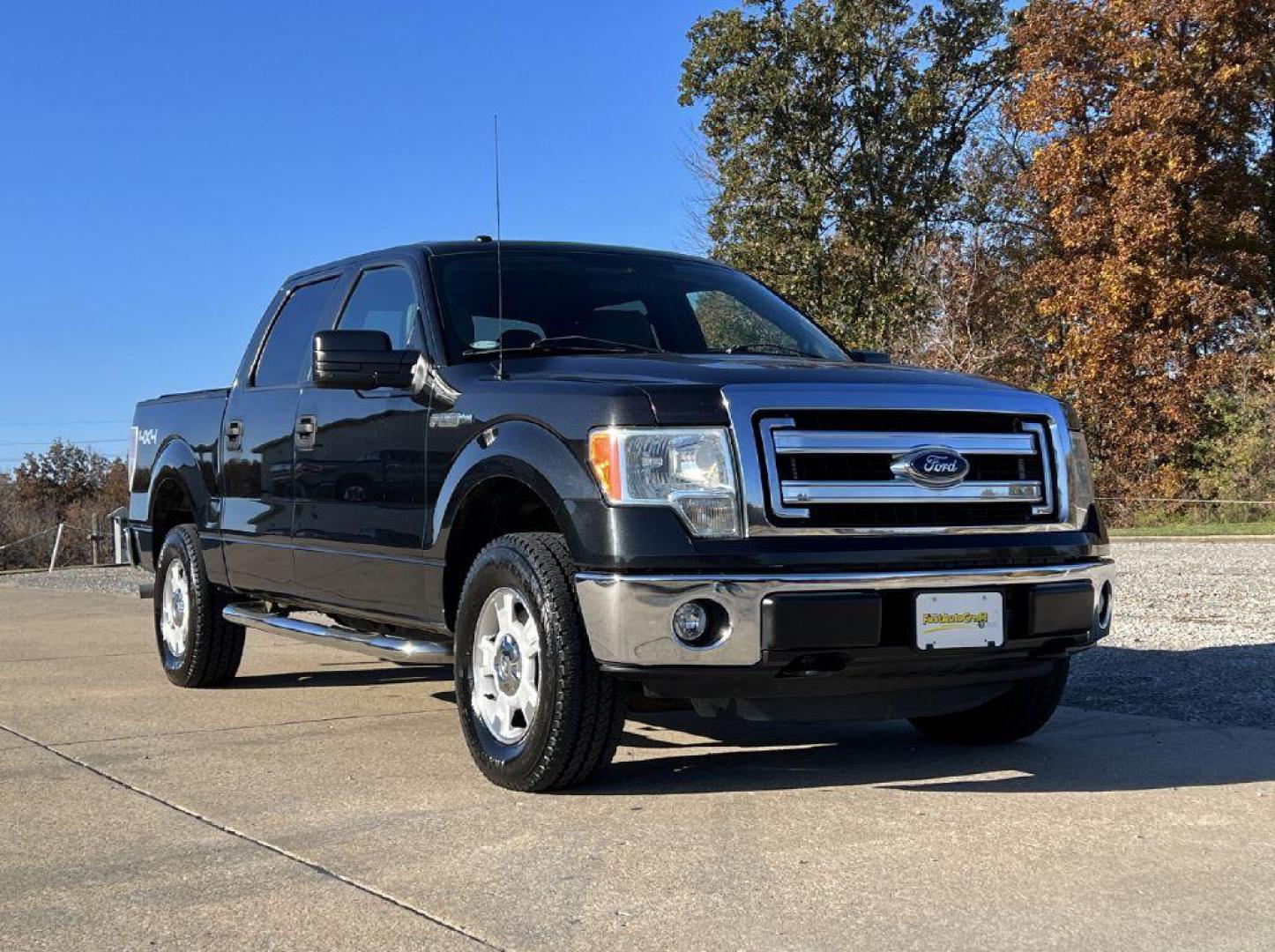 2014 BLACK FORD F150 XLT (1FTFW1EF6EK) with an 5.0L engine, Automatic transmission, located at 506 S. Kingshighway, Cape Girardeau, MO, 63703, 37.294994, -89.556206 - Photo#0