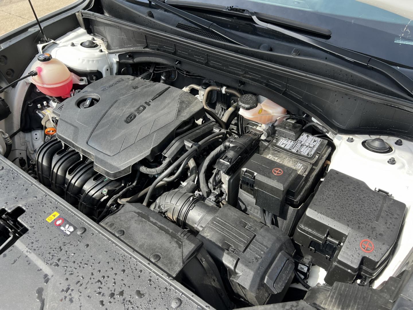 2022 WHITE /Black Cloth Kia Sorento LX 2WD (5XYRG4LCXNG) with an 2.4L 4 Cyl. engine, Automatic transmission, located at 2990 Old Orchard Rd., Jackson, MO, 63755, 37.354214, -89.612106 - 2022 Kia Sorento LX 64xxx miles Front Wheel Drive 2.5L 4 Cyl. Automatic 3rd Row Backup Camera Bluetooth Cruise Power Windows/Locks/Mirrors We have financing available and we accept trades! Fill out a credit application on our website or come by today! If you have any questions, give us a - Photo#29