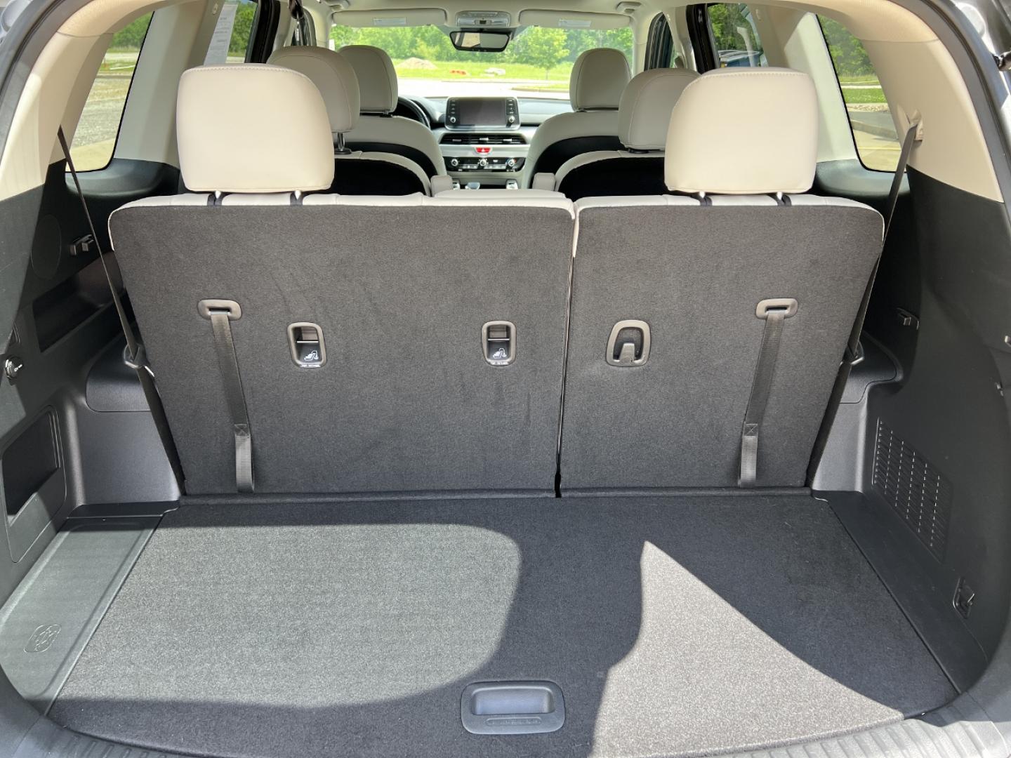 2021 GREEN /Gray Leather Kia Telluride S AWD (5XYP6DHC9MG) with an 3.8L V6 engine, Automatic transmission, located at 506 S. Kingshighway, Cape Girardeau, MO, 63703, (573) 235-5000, 37.294994, -89.556206 - 2021 Kia Telluride S 1-Owner Only 22xxx miles All Wheel Drive 3.8L V6 Automatic Leather 3rd Row Backup Camera Power Driver Seat Heated Seats Sunroof Bluetooth Cruise Remote Start Power Windows/Locks/Mirrors We have financing available and we accept trades! Fill out a credit applicati - Photo#22