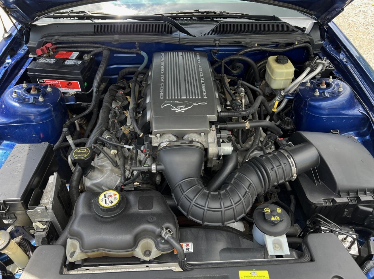2007 BLUE /Gray Leather Ford Mustang GT Deluxe Coupe (1ZVHT82H175) with an 4.6L V8 engine, Automatic transmission, located at 2990 Old Orchard Rd., Jackson, MO, 63755, 37.354214, -89.612106 - 2007 Ford Mustang GT Deluxe Only 89xxx miles Rear Wheel Drive 4.6L V8 5-Speed Manual Leather Power Driver Seat Cruise Power Windows/Locks/Mirrors We have financing available and we accept trades! Fill out a credit application on our website or come by today! If you have any questions, give - Photo#27