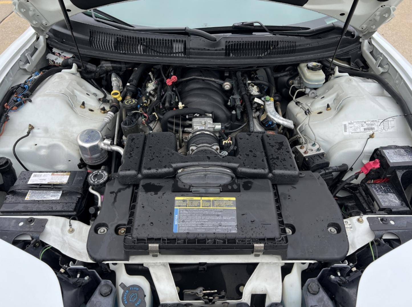 1998 WHITE /Gray Leather Pontiac Firebird Formula (2G2FV22G4W2) with an 5.7L V8 engine, Automatic transmission, located at 2990 Old Orchard Rd., Jackson, MO, 63755, 37.354214, -89.612106 - 1998 Pontiac Firebird Trans Am Only 22xxx miles Rear Wheel Drive 5.7L V8 Automatic Leather Power Driver Seat Cruise Power Windows/Locks/Mirrors We have financing available and we accept trades! Fill out a credit application on our website or come by today! If you have any questions, give u - Photo#28