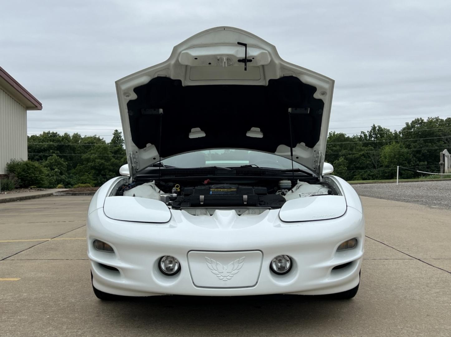 1998 WHITE /Gray Leather Pontiac Firebird Formula (2G2FV22G4W2) with an 5.7L V8 engine, Automatic transmission, located at 2990 Old Orchard Rd., Jackson, MO, 63755, 37.354214, -89.612106 - 1998 Pontiac Firebird Trans Am Only 22xxx miles Rear Wheel Drive 5.7L V8 Automatic Leather Power Driver Seat Cruise Power Windows/Locks/Mirrors We have financing available and we accept trades! Fill out a credit application on our website or come by today! If you have any questions, give u - Photo#27