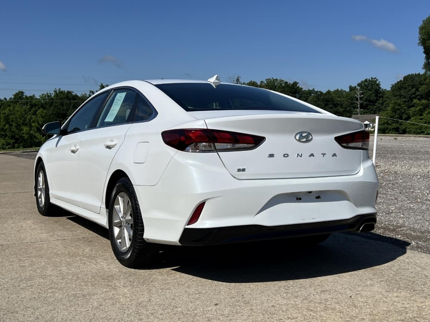 2019 WHITE /Tan Cloth Hyundai Sonata SE (5NPE24AF3KH) with an 2.4L 4 Cyl. engine, Automatic transmission, located at 506 S. Kingshighway, Cape Girardeau, MO, 63703, (573) 235-5000, 37.294994, -89.556206 - 2019 Hyundai Sonata SE 1-Owner 97xxx miles Front Wheel Drive 2.4L 4 Cyl. Automatic Backup Camera Bluetooth Cruise Power Windows/Locks/Mirrors We have financing available and we accept trades! Fill out a credit application on our website or come by today! If you have any questions, give us - Photo#7
