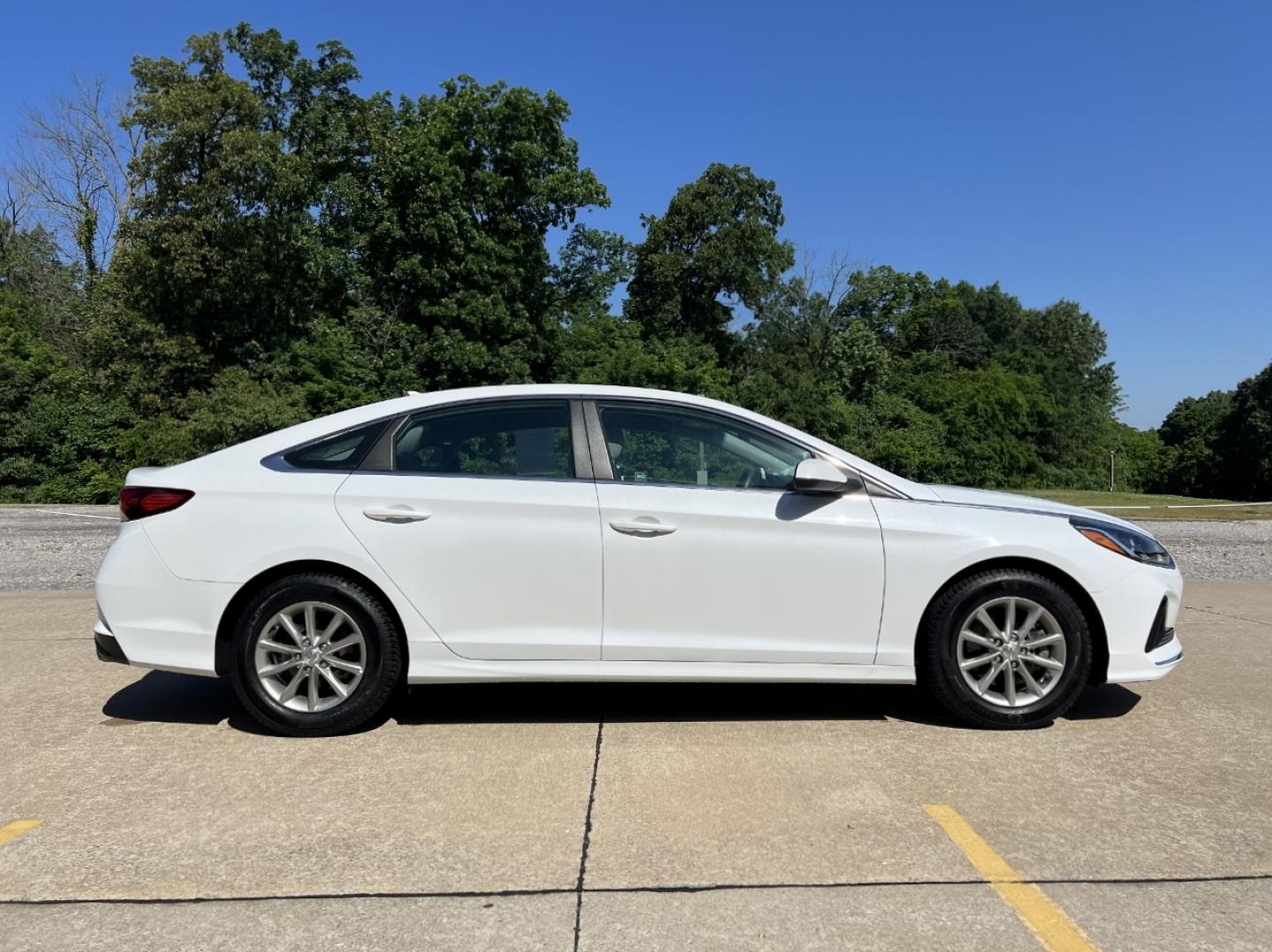 2019 WHITE /Tan Cloth Hyundai Sonata SE (5NPE24AF3KH) with an 2.4L 4 Cyl. engine, Automatic transmission, located at 506 S. Kingshighway, Cape Girardeau, MO, 63703, (573) 235-5000, 37.294994, -89.556206 - 2019 Hyundai Sonata SE 1-Owner 97xxx miles Front Wheel Drive 2.4L 4 Cyl. Automatic Backup Camera Bluetooth Cruise Power Windows/Locks/Mirrors We have financing available and we accept trades! Fill out a credit application on our website or come by today! If you have any questions, give us - Photo#5