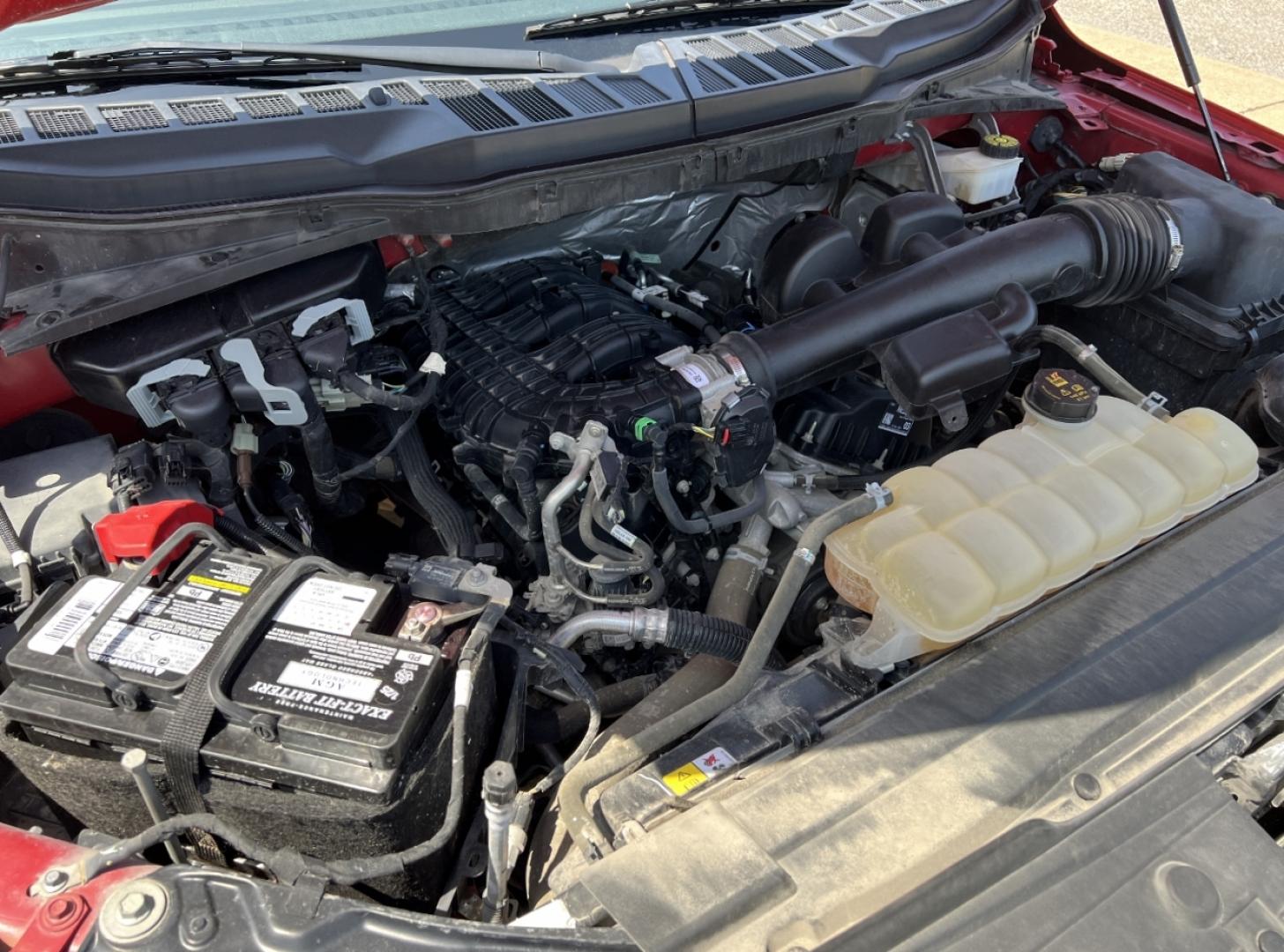 2021 RED /Gray Cloth Ford F-150 XL 6.5-ft. Bed 2WD (1FTMF1CB2MK) with an 3.3L V6 engine, Automatic transmission, located at 2990 Old Orchard Rd., Jackson, MO, 63755, 37.354214, -89.612106 - 2021 Ford F-150 XL 1-Owner 111xxx miles Rear Wheel Drive 3.3L V6 Automatic Backup Camera Bluetooth Cruise Power Windows/Locks/Mirrors We have financing available and we accept trades! Fill out a credit application on our website or come by today! If you have any questions, give us a call - Photo#28