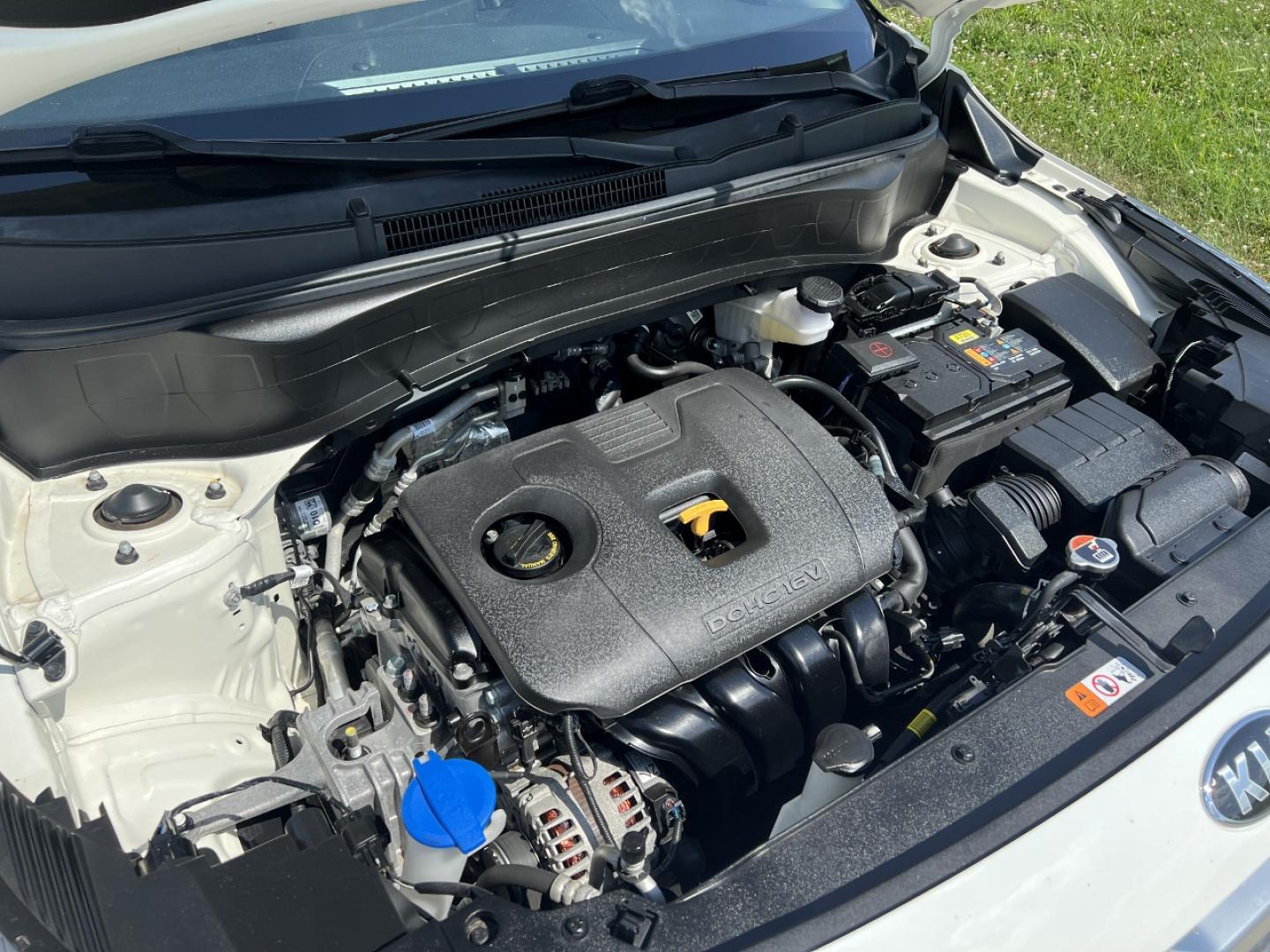 2021 WHITE /Gray Cloth Kia Seltos S AWD (KNDEUCAA3M7) with an 2.0L 4 Cyl. engine, CVT transmission, located at 506 S. Kingshighway, Cape Girardeau, MO, 63703, (573) 235-5000, 37.294994, -89.556206 - 2021 Kia Seltos S 1-Owner 67xxx miles All Wheel Drive 2.0L 4 Cyl. Automatic Backup Camera Heated Seats Bluetooth Cruise Power Windows/Locks/Mirrors We have financing available and we accept trades! Fill out a credit application on our website or come by today! If you have any questions, - Photo#29