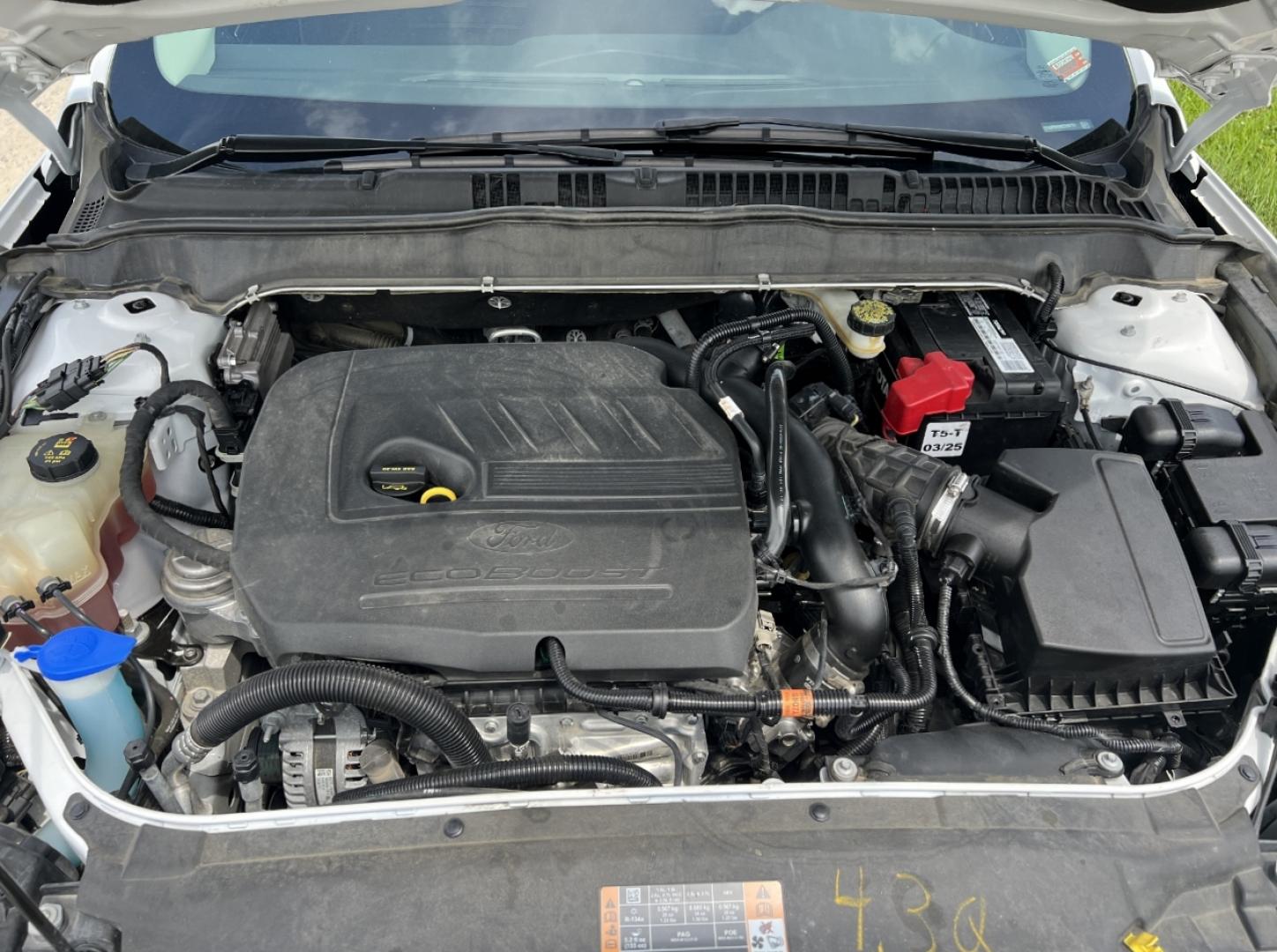 2014 WHITE /Black Cloth Ford Fusion SE (1FA6P0HD8E5) with an 1.5L 4 Cyl. engine, Automatic transmission, located at 506 S. Kingshighway, Cape Girardeau, MO, 63703, (573) 235-5000, 37.294991, -89.553635 - 2014 Ford Fusion SE 1-Owner Only 79xxx miles Front Wheel Drive 1.5L 4 Cyl. Automatic Power Driver Seat Bluetooth Cruise Power Windows/Locks/Mirrors We have financing available and we accept trades! Fill out a credit application on our website or come by today! If you have any questions, g - Photo#29