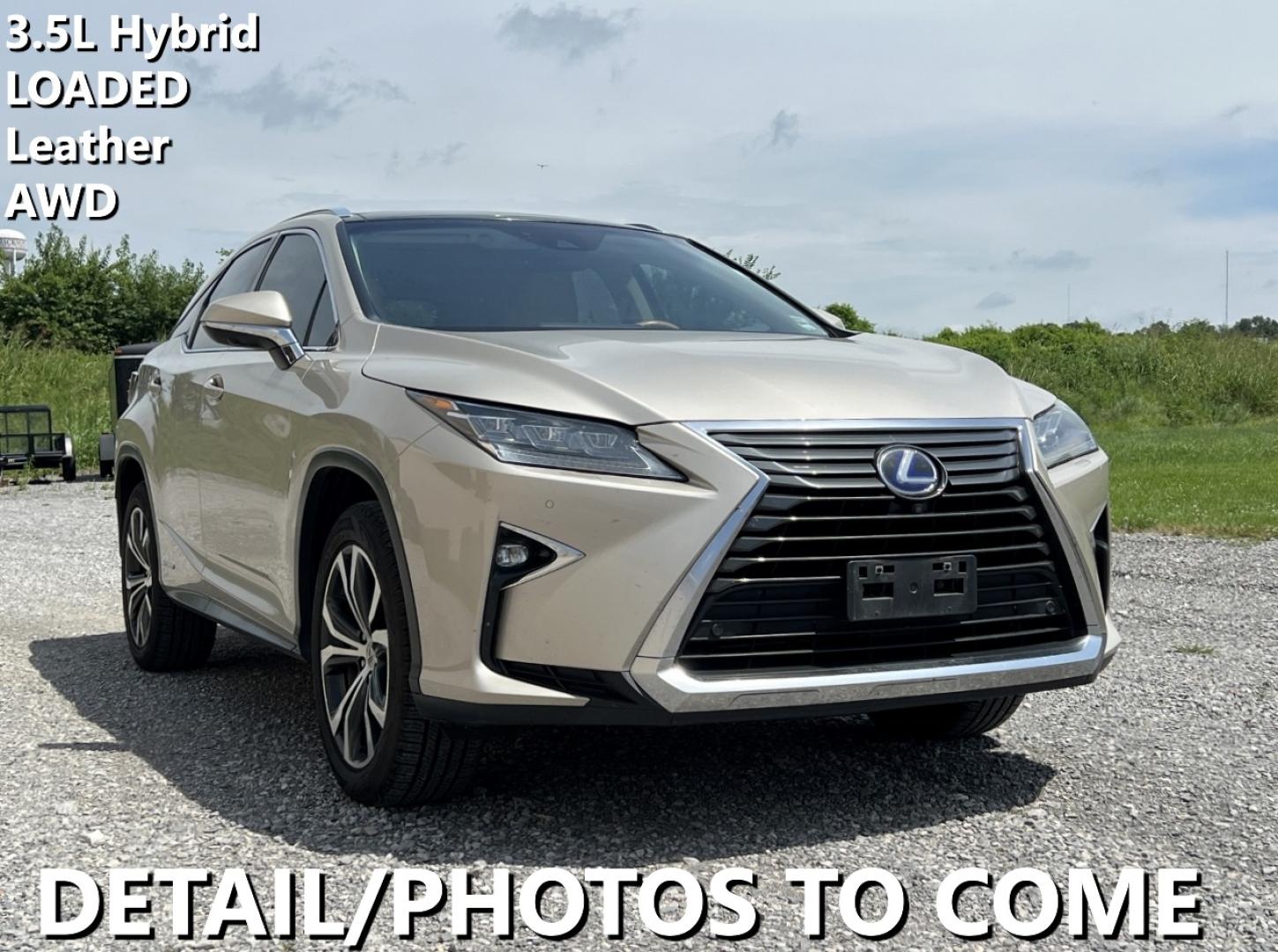 2016 GOLD /Tan Leather Lexus RX 450h AWD (2T2BGMCA0GC) with an 3.5L V6 HYBRID engine, CVT transmission, located at 2990 Old Orchard Rd., Jackson, MO, 63755, 37.354214, -89.612106 - We have financing available and we accept trades! Fill out a credit application on our website or come by today! If you have any questions, give us a call at (573) 204-7777 or visit our website at firstautocredit.com. - Photo#0