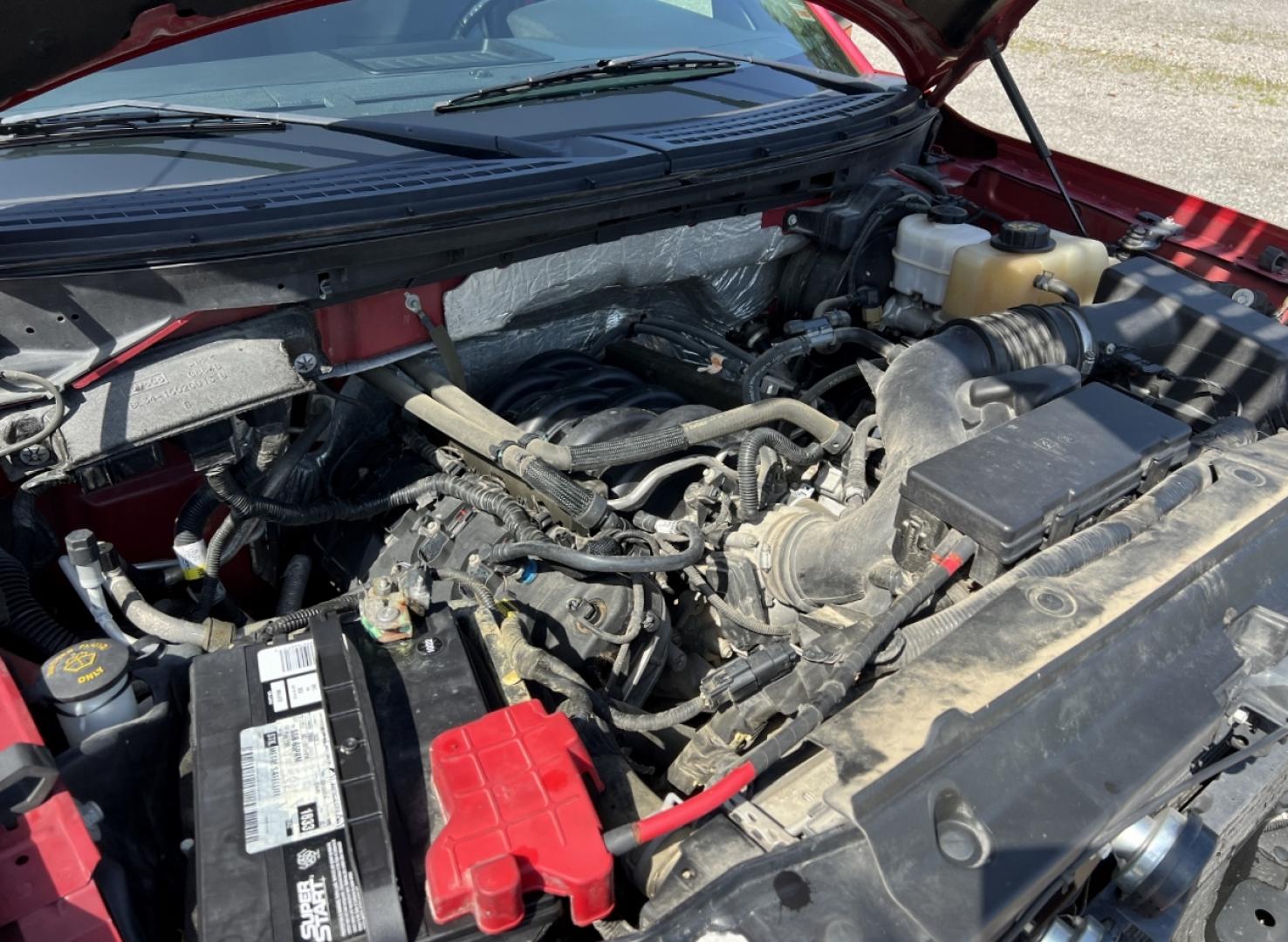 2011 MAROON /Gray Cloth Ford F-150 XLT SuperCrew 5.5-ft. Bed 4WD (1FTFW1EFXBK) with an 5.0L V8 engine, Automatic transmission, located at 506 S. Kingshighway, Cape Girardeau, MO, 63703, (573) 235-5000, 37.294991, -89.553635 - 2011 Ford F-150 XLT Only 90xxx miles 4x4 5.0L V8 Automatic New Tires Backup Camera Power Driver Seat Bluetooth Cruise Power Windows/Locks/Mirrors We have financing available and we accept trades! Fill out a credit application on our website or come by today! If you have any questions, gi - Photo#34